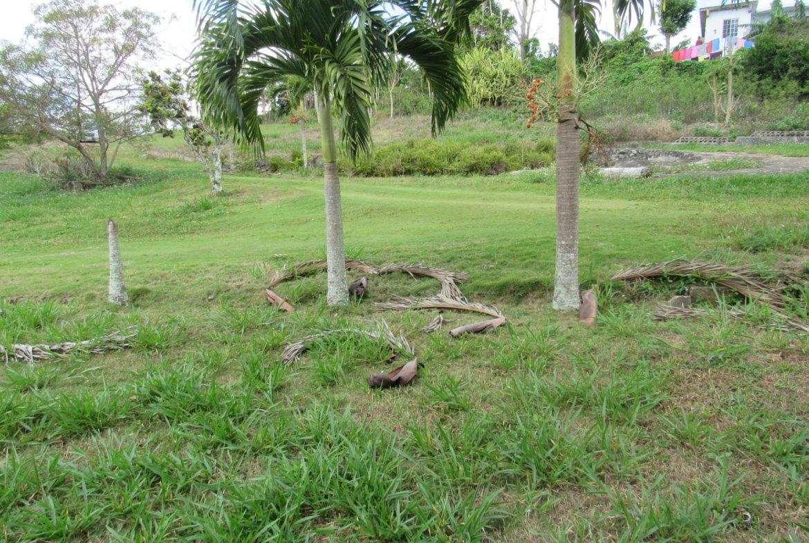 Eighteenth image of Part of Hatfield, Manches in Hatfield, Manchester, Jamaica - property is For Sale