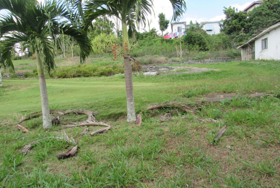 Nineteenth image of Part of Hatfield, Manches in Hatfield, Manchester, Jamaica - property is For Sale
