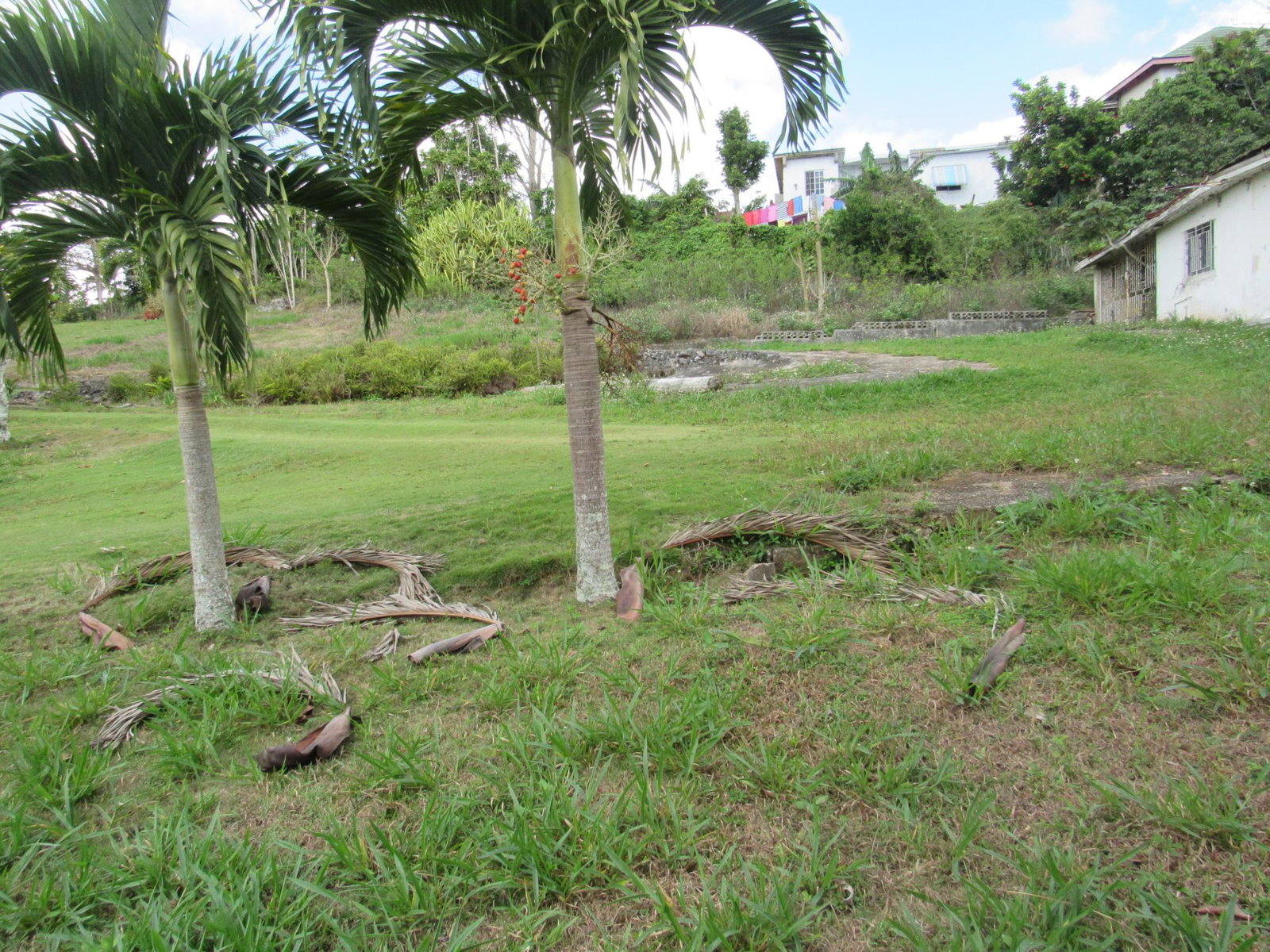 Nineteenth image of Part of Hatfield, Manches in Hatfield, Manchester, Jamaica - property is For Sale