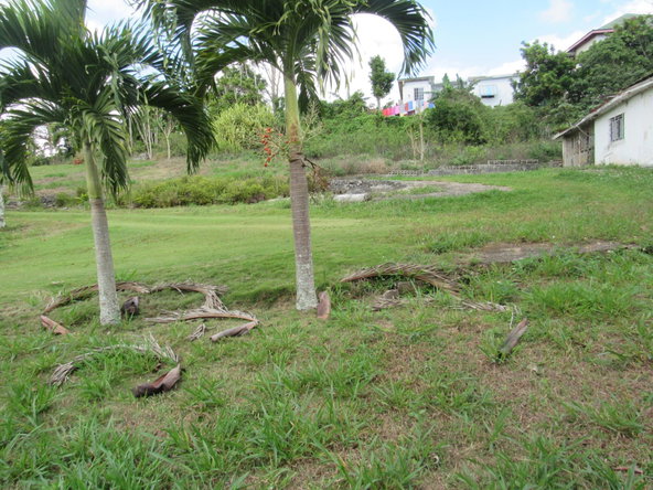 Nineteenth image of Part of Hatfield, Manches in Hatfield, Manchester, Jamaica - property is For Sale