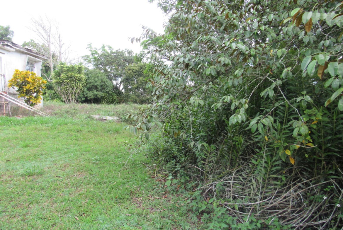Twentieth image of Part of Hatfield, Manches in Hatfield, Manchester, Jamaica - property is For Sale