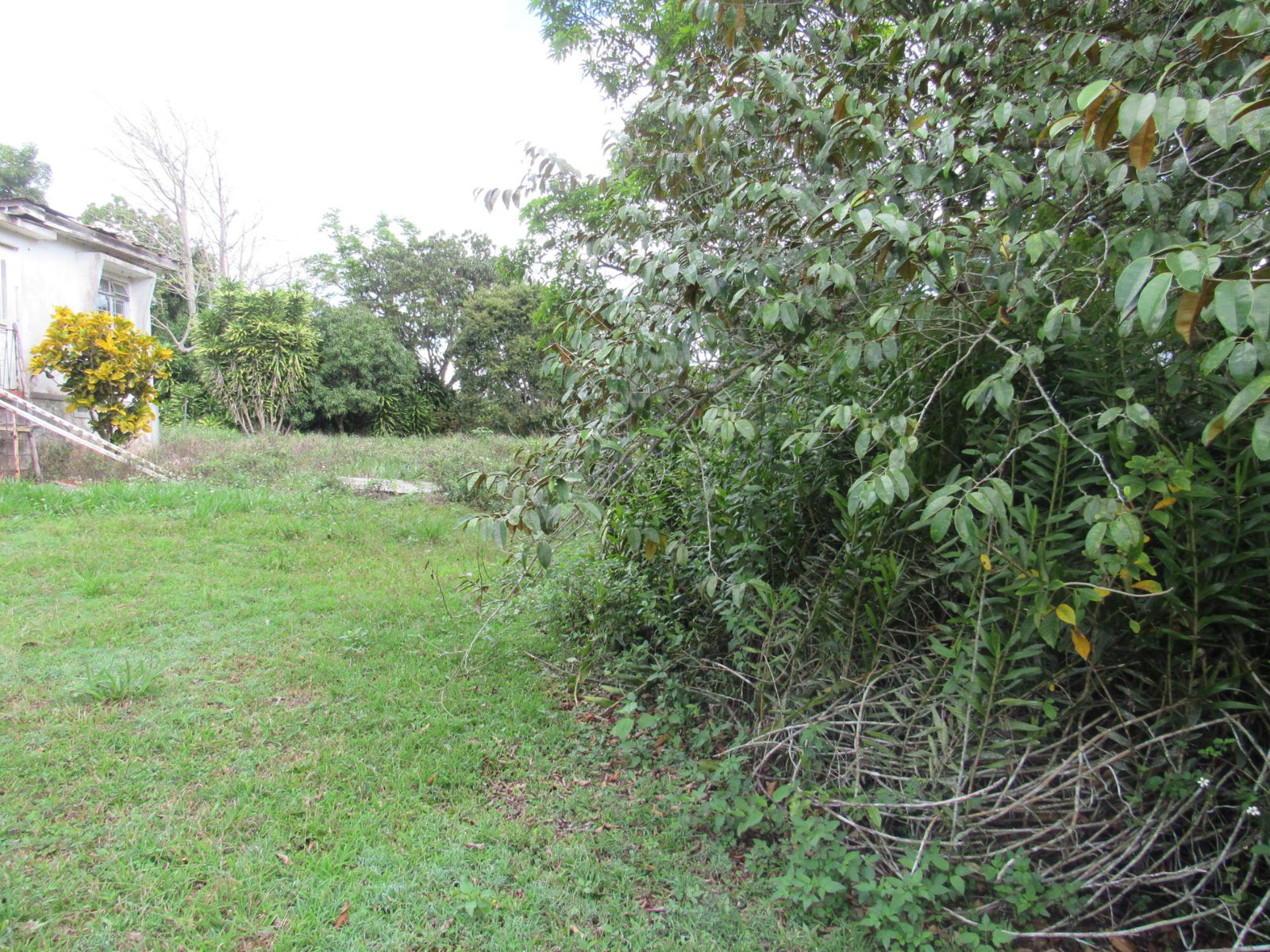 Twentieth image of Part of Hatfield, Manches in Hatfield, Manchester, Jamaica - property is For Sale
