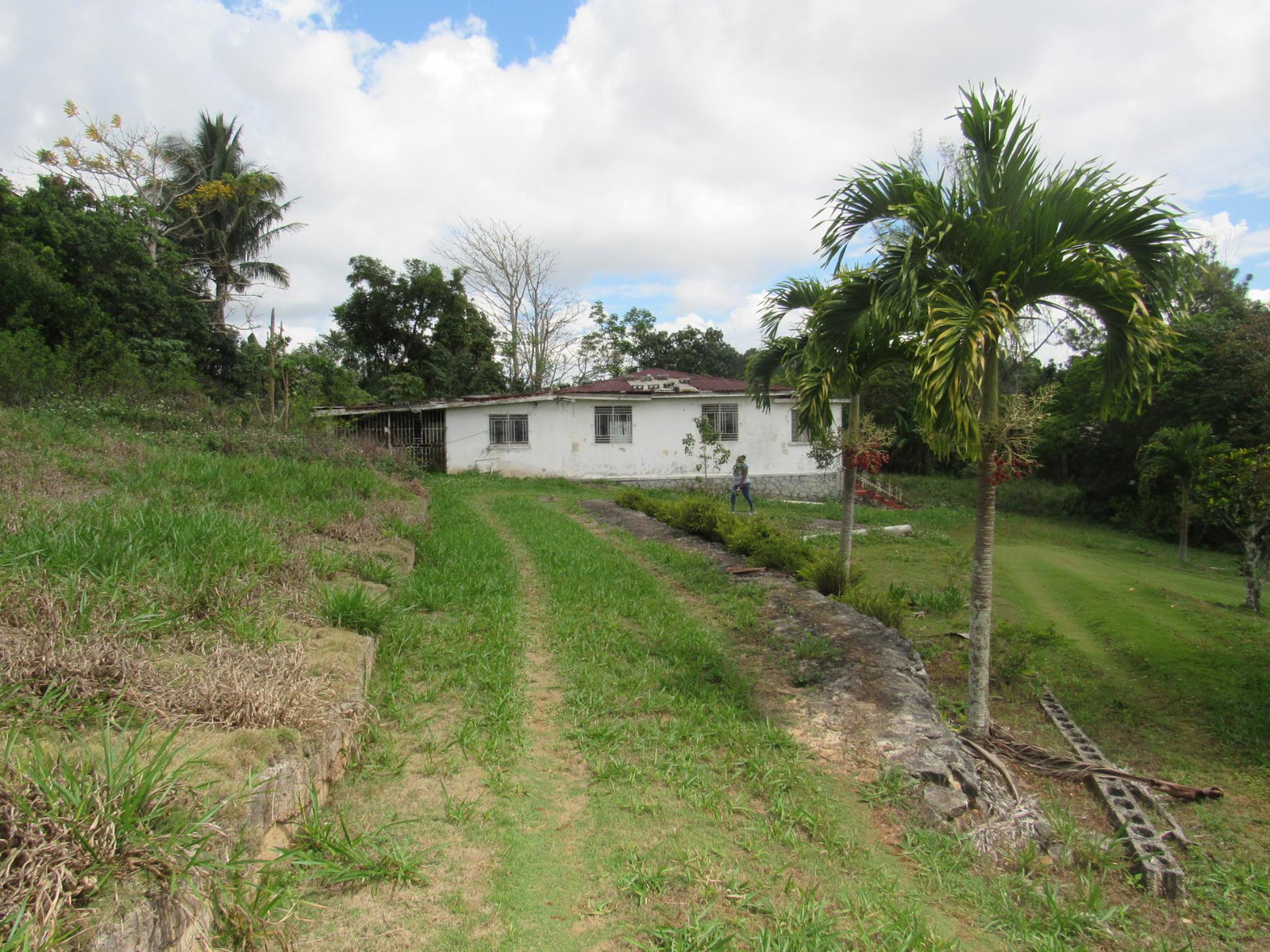 Eighth image of Part of Hatfield, Manches in Hatfield, Manchester, Jamaica - property is For Sale