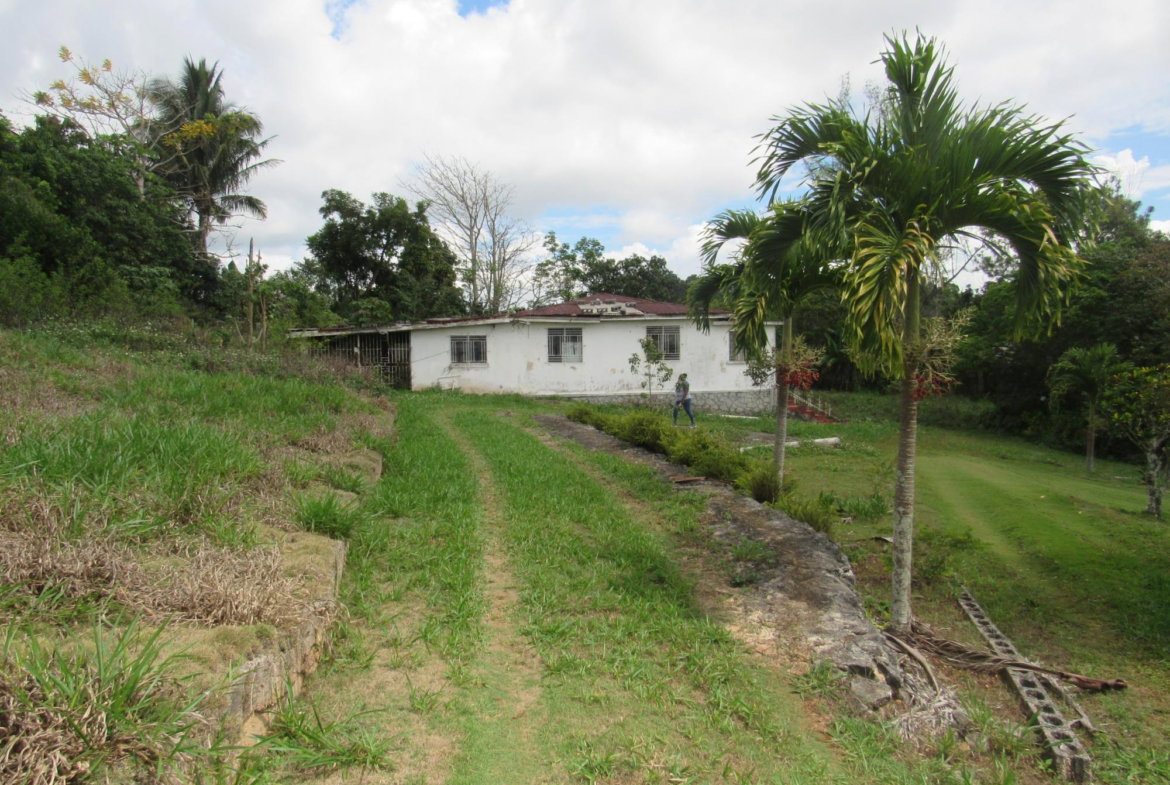 Tenth image of Part of Hatfield, Manches in Hatfield, Manchester, Jamaica - property is For Sale