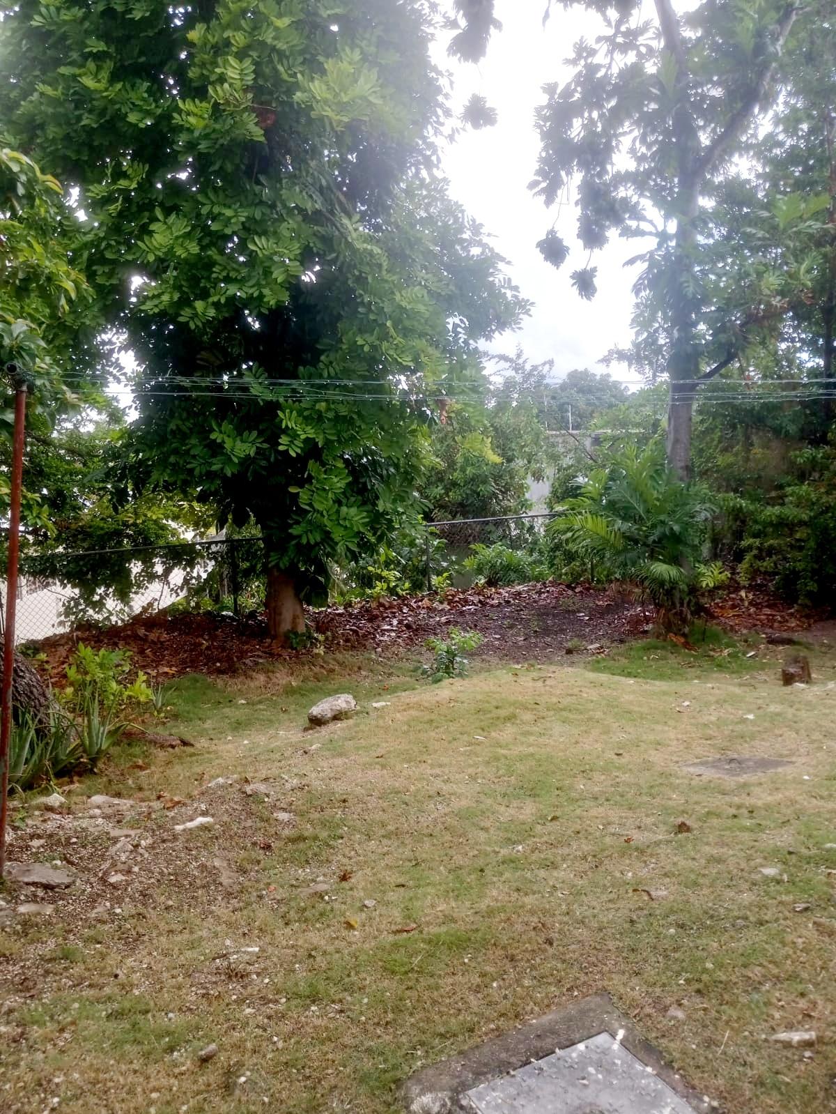 Fourth image of 491 Farm Heights in Farm Heights, St. James, Jamaica - property is For Rent
