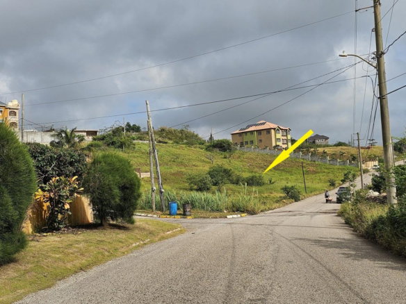 First image of Lot 204 New Wales in Knockpatrick, Manchester, Jamaica - property is For Sale