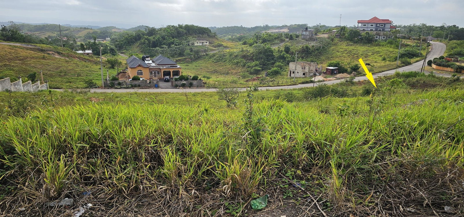Seventh image of Lot 204 New Wales in Knockpatrick, Manchester, Jamaica - property is For Sale