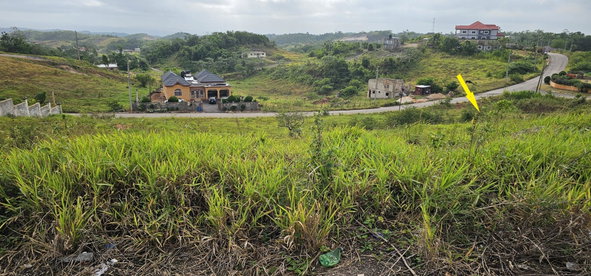 Seventh image of Lot 204 New Wales in Knockpatrick, Manchester, Jamaica - property is For Sale