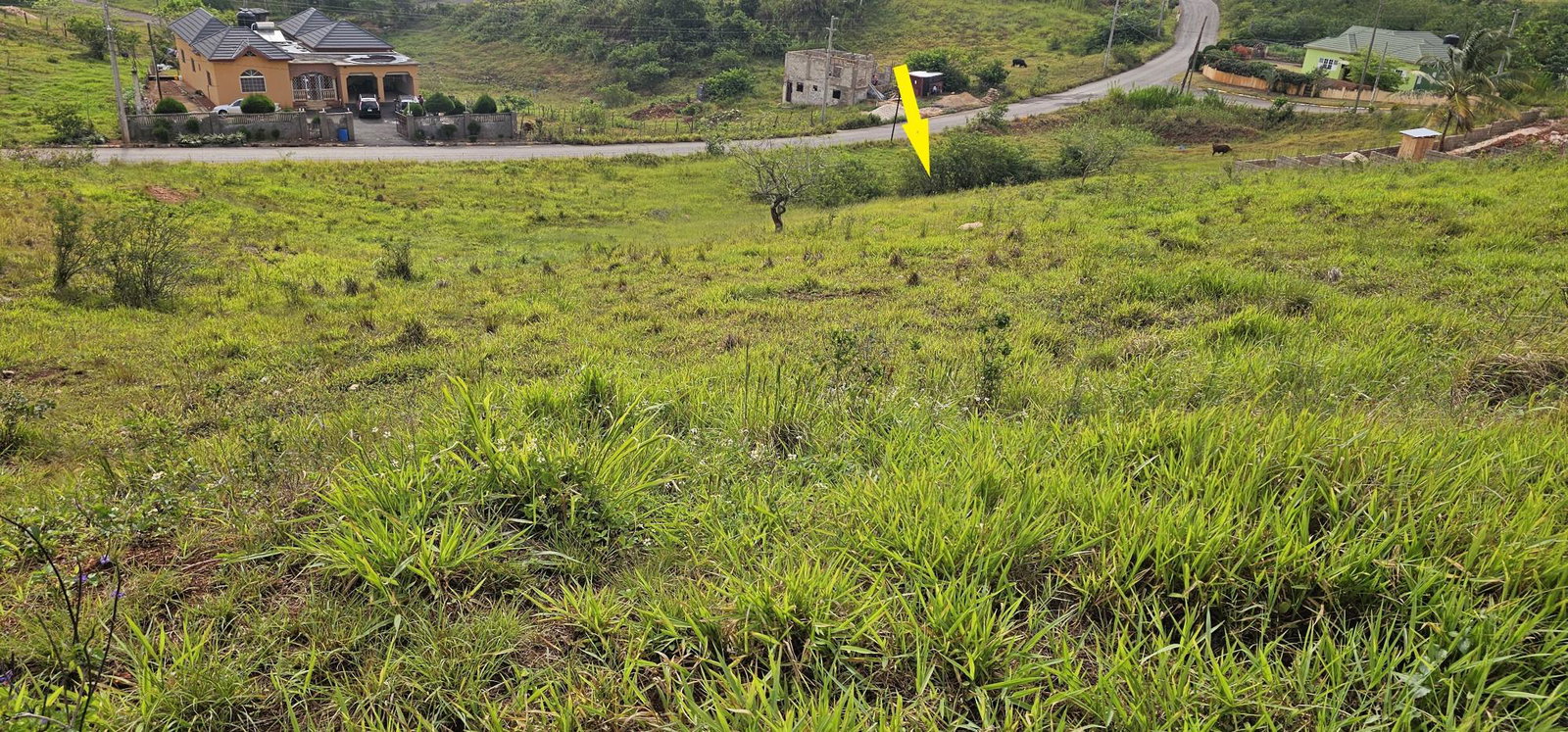 Eighth image of Lot 204 New Wales in Knockpatrick, Manchester, Jamaica - property is For Sale