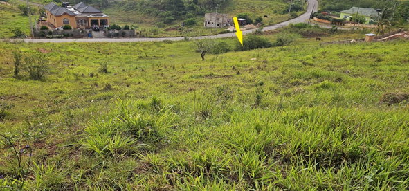 Eighth image of Lot 204 New Wales in Knockpatrick, Manchester, Jamaica - property is For Sale