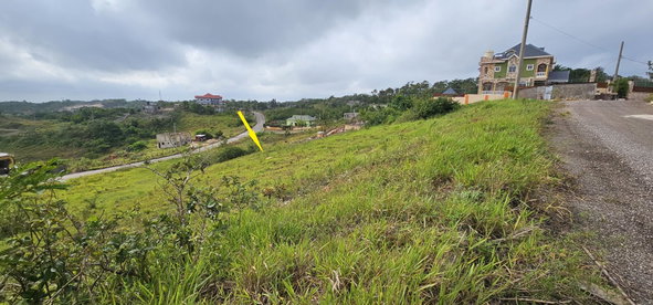 Ninth image of Lot 204 New Wales in Knockpatrick, Manchester, Jamaica - property is For Sale