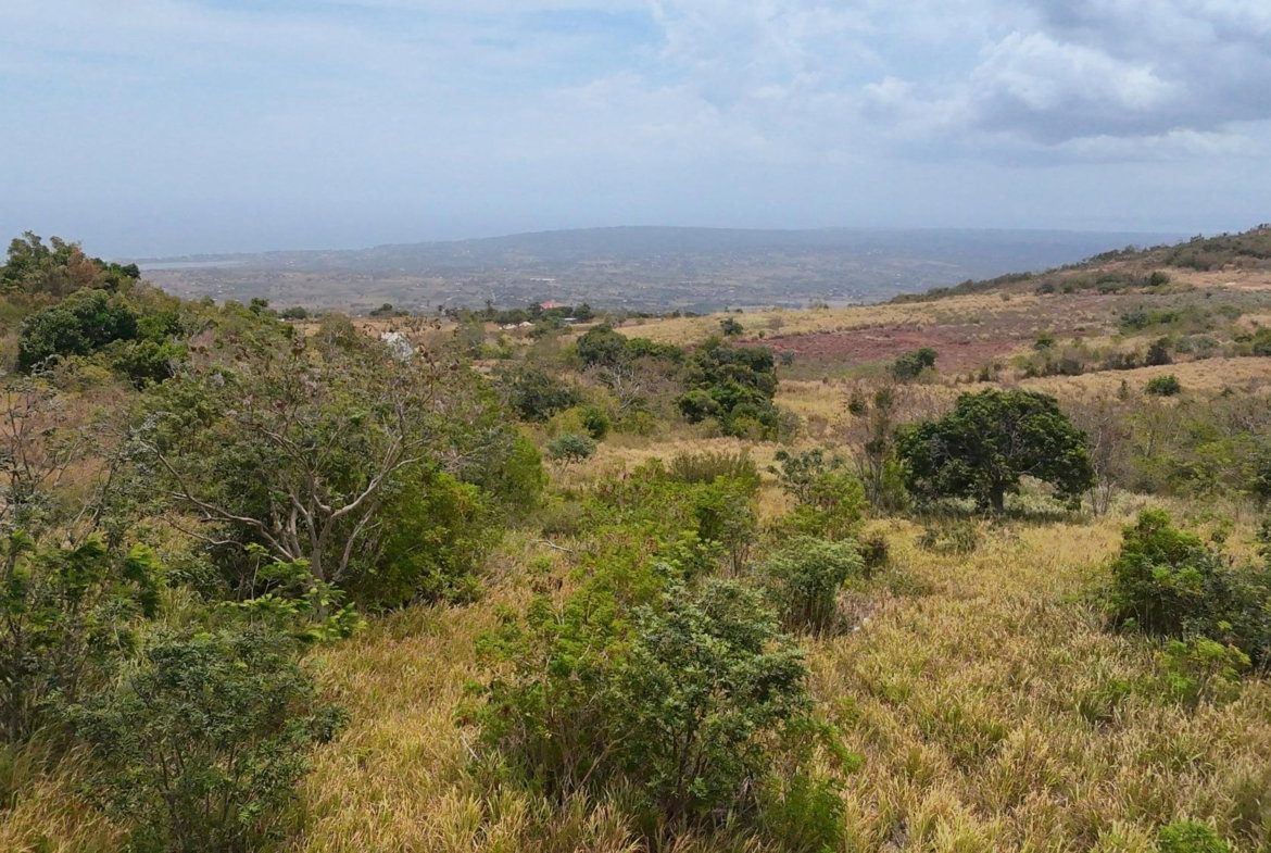 First image of Malvern Chase in Southfield, St. Elizabeth, Jamaica - property is For Sale