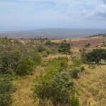 First image of Malvern Chase in Southfield, St. Elizabeth, Jamaica - property is For Sale
