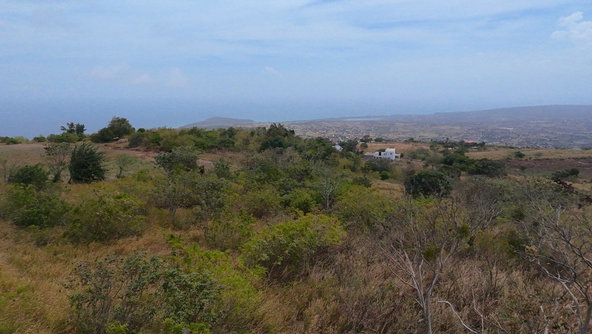 Fourth image of Malvern Chase in Southfield, St. Elizabeth, Jamaica - property is For Sale