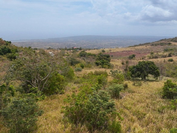 First image of Malvern Chase in Southfield, St. Elizabeth, Jamaica - property is For Sale