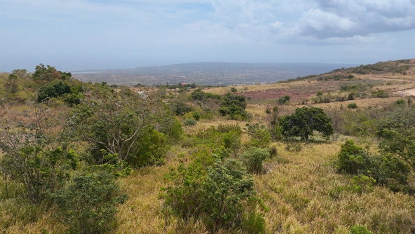 First image of Malvern Chase in Southfield, St. Elizabeth, Jamaica - property is For Sale