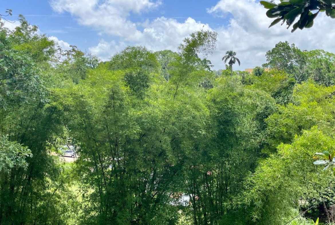 Eleventh image of Apt G4- Palm Grove Estate, Mdvl in Mandeville, Manchester, Jamaica - property is For Sale