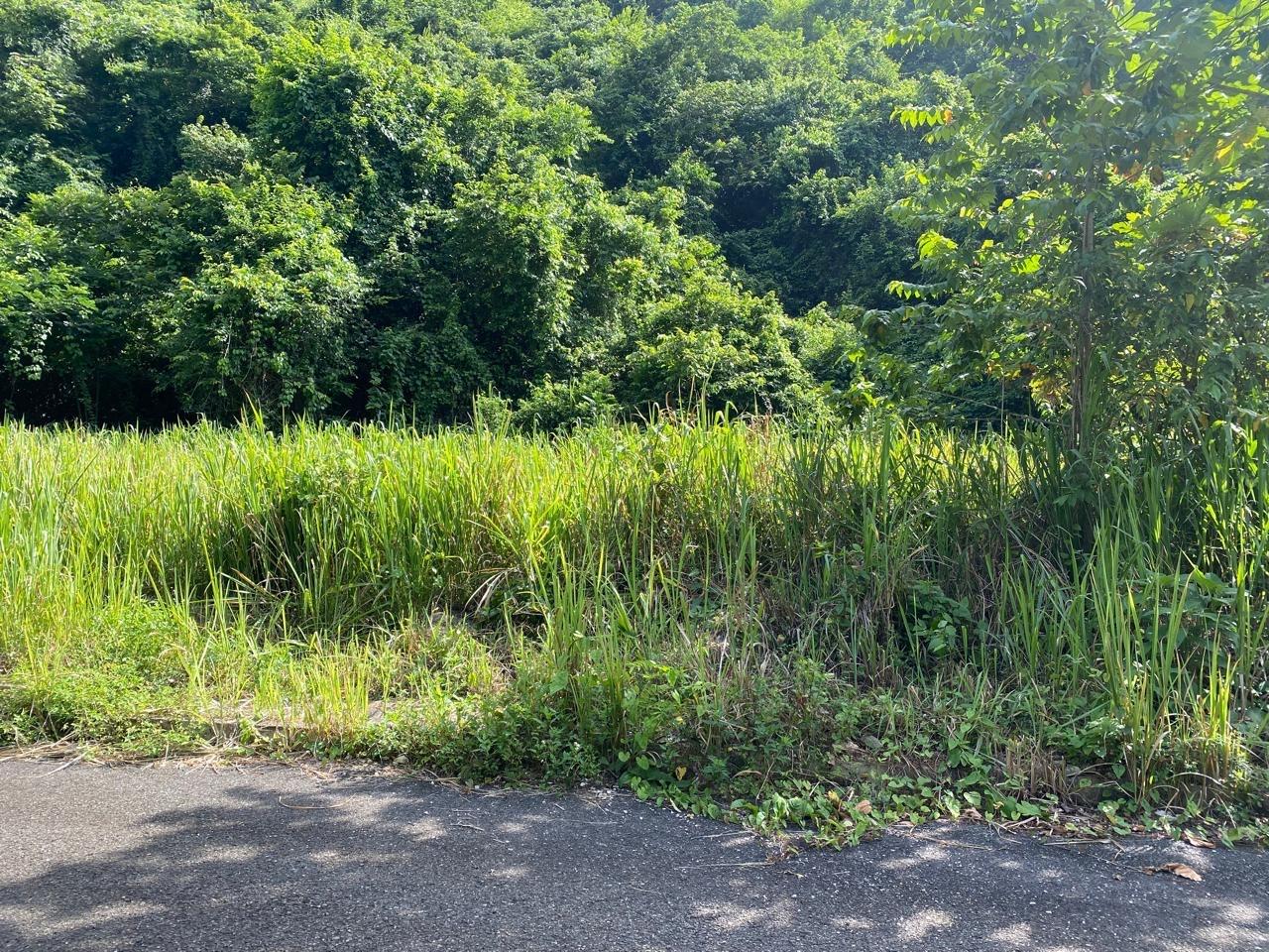 Eleventh image of 33 Bellevue Drive in Kingston 8, St. Andrew, Jamaica - property is For Sale