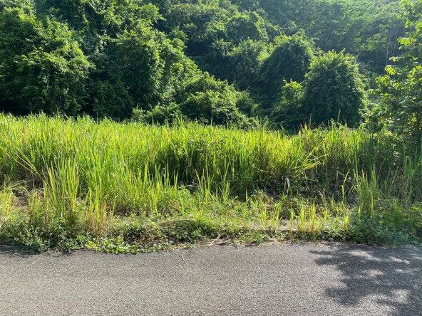 Fourteenth image of 33 Bellevue Drive in Kingston 8, St. Andrew, Jamaica - property is For Sale