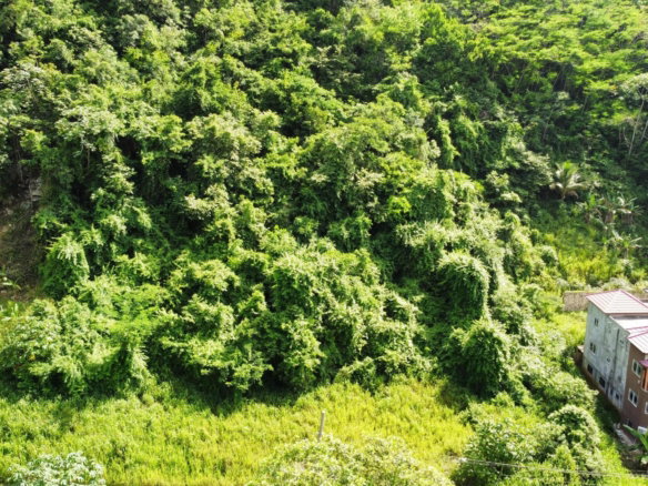 First image of 33 Bellevue Drive in Kingston 8, St. Andrew, Jamaica - property is For Sale