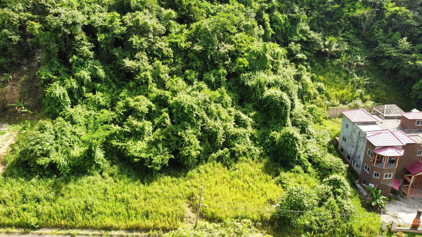 Ninth image of 33 Bellevue Drive in Kingston 8, St. Andrew, Jamaica - property is For Sale