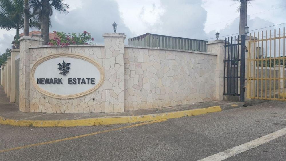 Fourteenth image of Newark Estate, Spur Tre in Spur Tree, Manchester, Jamaica - property is For Sale