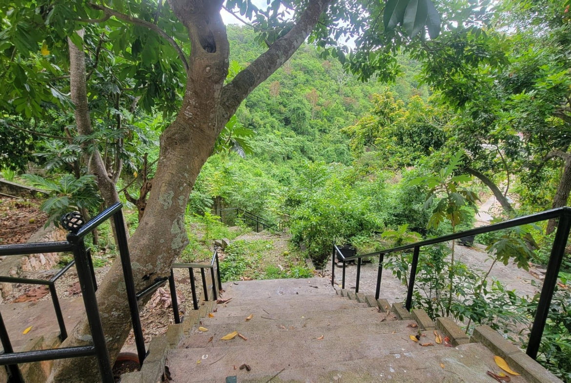 Twenty-Seventh image of 6 Powell Close Sterling Cas in Kingston 19, St. Andrew, Jamaica - property is For Sale