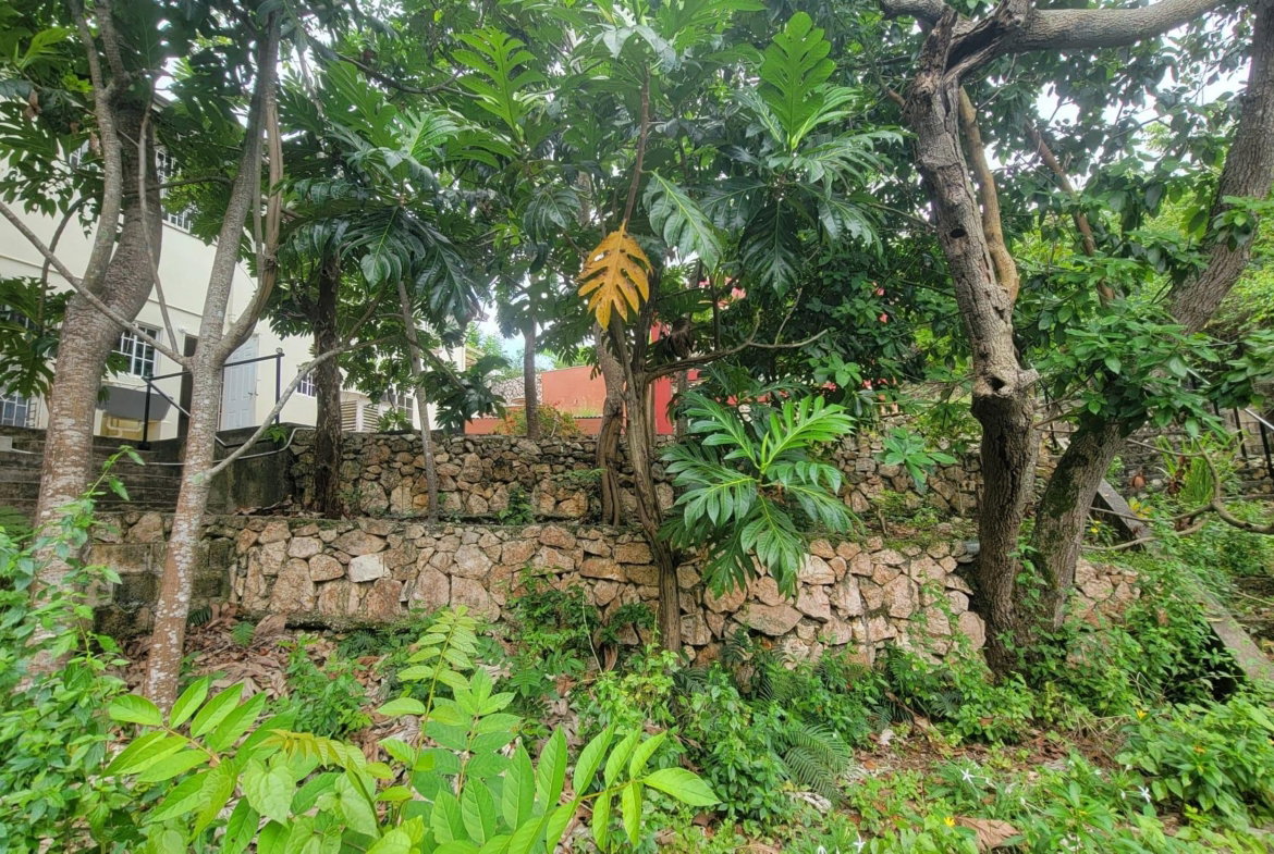 Twenty-Eighth image of 6 Powell Close Sterling Cas in Kingston 19, St. Andrew, Jamaica - property is For Sale