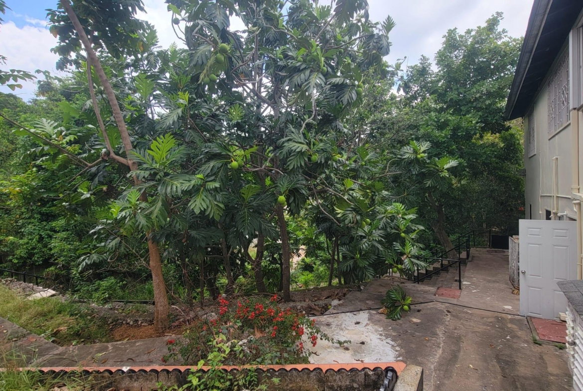Twenty-Ninth image of 6 Powell Close Sterling Cas in Kingston 19, St. Andrew, Jamaica - property is For Sale
