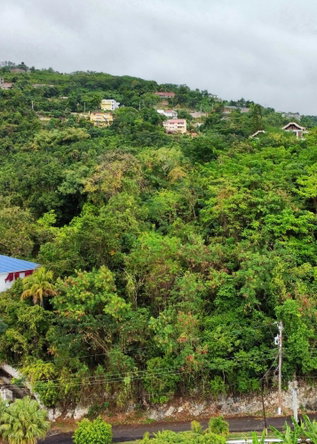 Third image of 111 Eastmead Close in Kingston 19, St. Andrew, Jamaica - property is For Sale