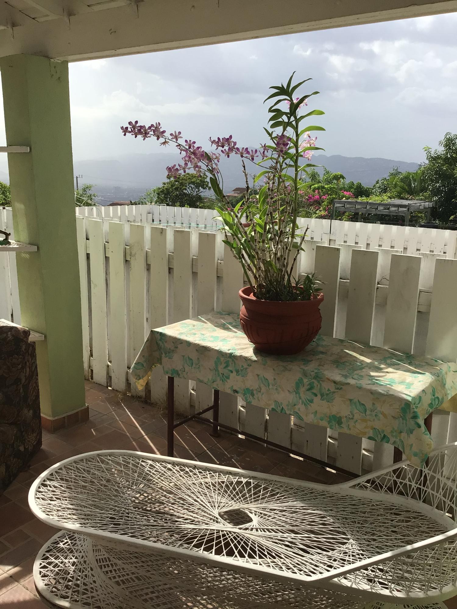 Fourteenth image of 16 East Mountain Pride, King in Kingston 6, St. Andrew, Jamaica - property is For Rent