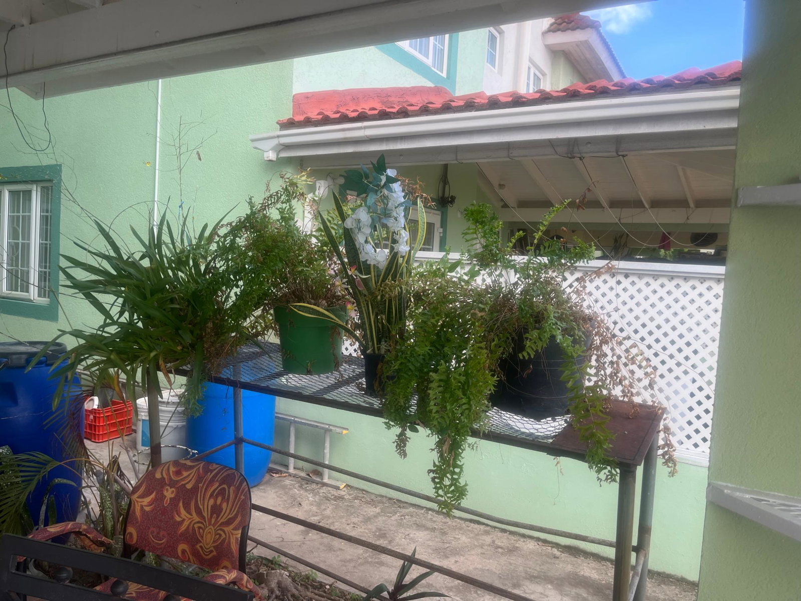 Twenty-Eighth image of 16 East Mountain Pride, King in Kingston 6, St. Andrew, Jamaica - property is For Rent