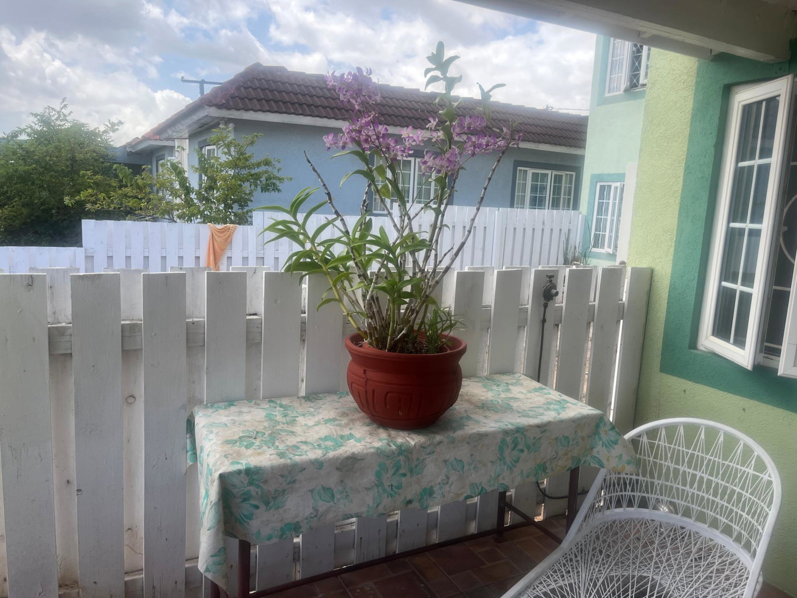 Twenty-Ninth image of 16 East Mountain Pride, King in Kingston 6, St. Andrew, Jamaica - property is For Rent