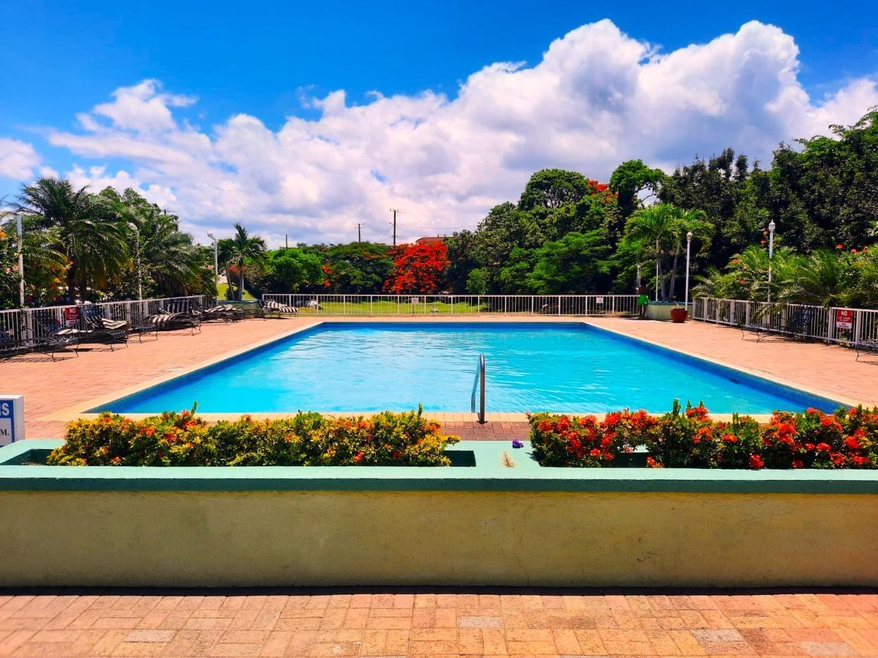 Sixth image of 16 East Mountain Pride, King in Kingston 6, St. Andrew, Jamaica - property is For Rent