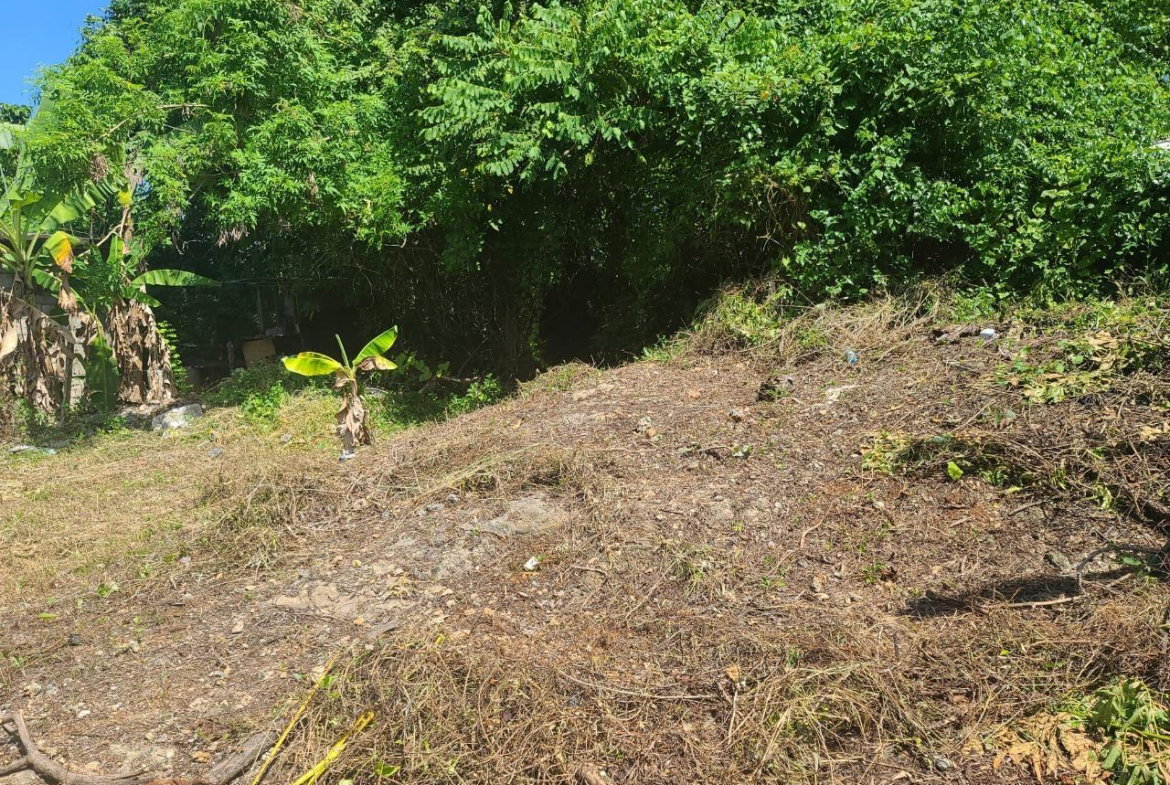 Twelfth image of 99 Boscobel Phase 1 in Boscobel, St. Mary, Jamaica - property is For Sale