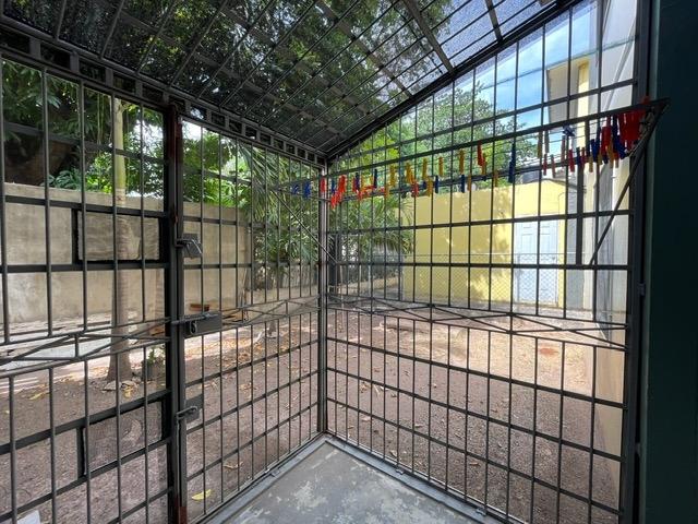 Twenty-Eighth image of Deeside Avenue in Kingston 10, St. Andrew, Jamaica - property is For Rent