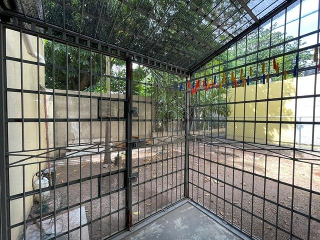 Twenty-Ninth image of Deeside Avenue in Kingston 10, St. Andrew, Jamaica - property is For Rent