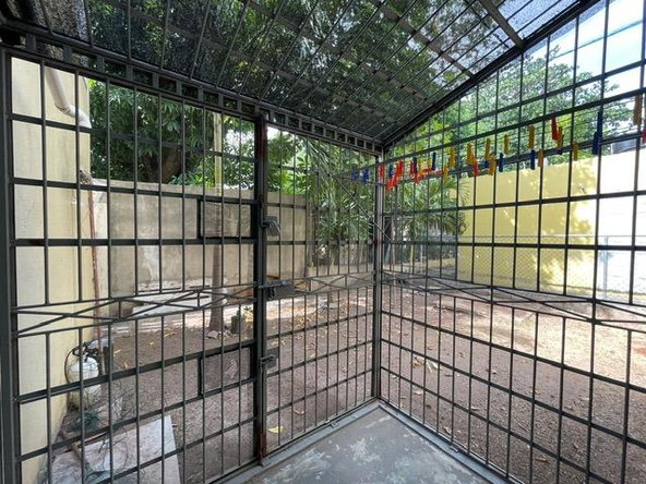 Twenty-Ninth image of Deeside Avenue in Kingston 10, St. Andrew, Jamaica - property is For Rent