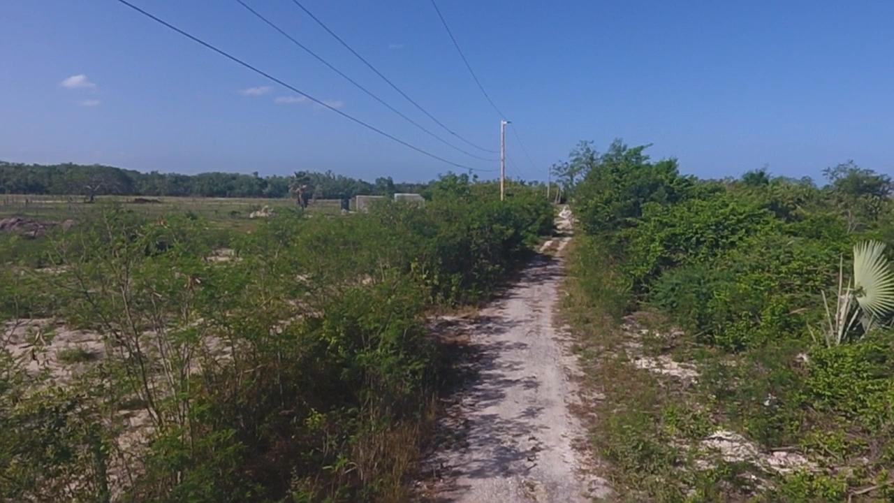 Third image of Lot # 210- Fullerswood in Fullerswood, St. Elizabeth, Jamaica - property is For Sale