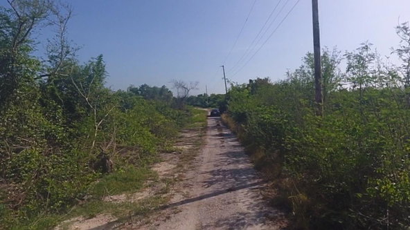 Sixth image of Lot # 210- Fullerswood in Fullerswood, St. Elizabeth, Jamaica - property is For Sale