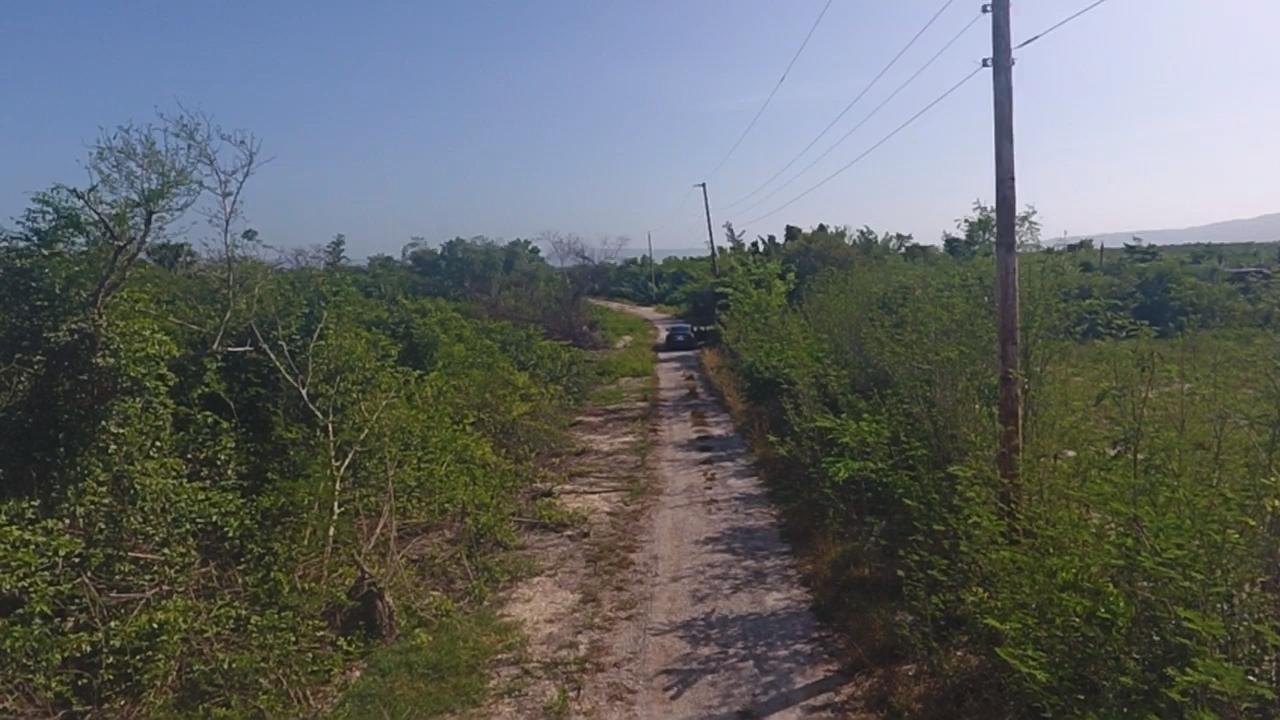 Seventh image of Lot # 210- Fullerswood in Fullerswood, St. Elizabeth, Jamaica - property is For Sale