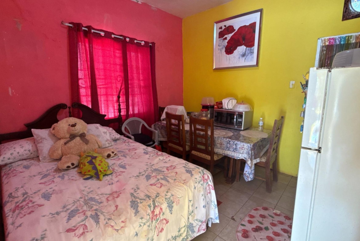 Twentieth image of Part of Ballards Valley in Ballards Valley, St. Elizabeth, Jamaica - property is For Sale