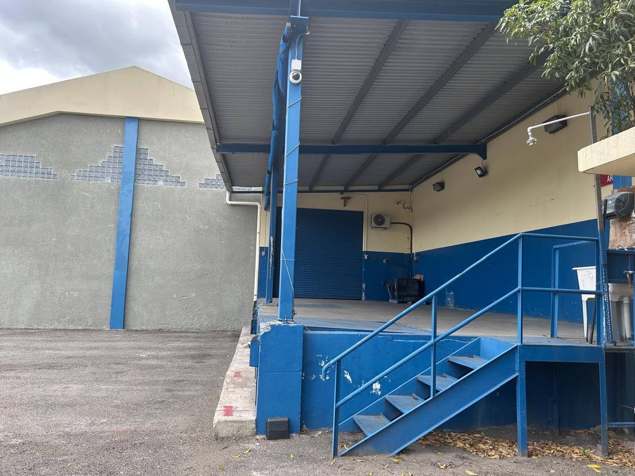 Fifth image of 36 Beechwood Avenue in Kingston 5, St. Andrew, Jamaica - property is For Rent