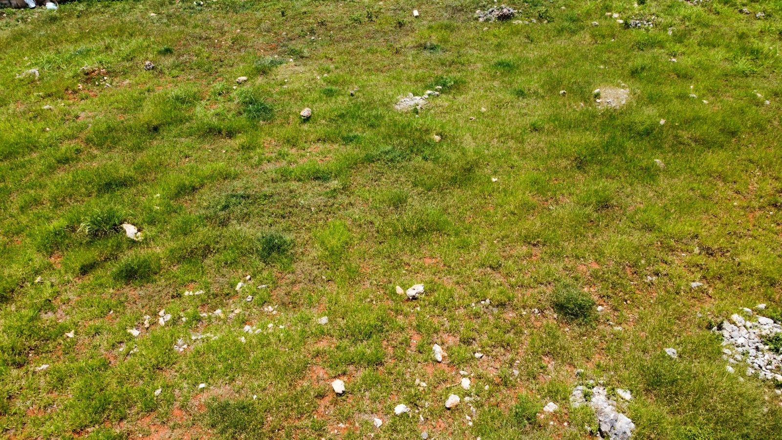 Ninth image of 1 Horizon Close Waltham in Mandeville, Manchester, Jamaica - property is For Sale
