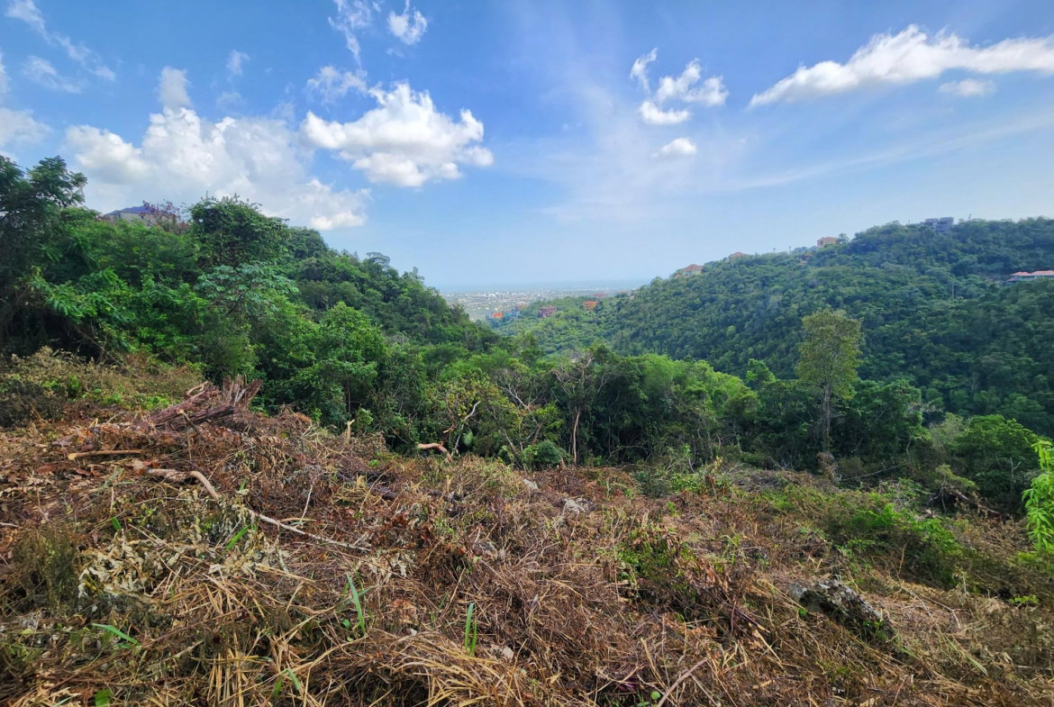 Second image of 409 Pegasus Place in Kingston 19, St. Andrew, Jamaica - property is For Sale