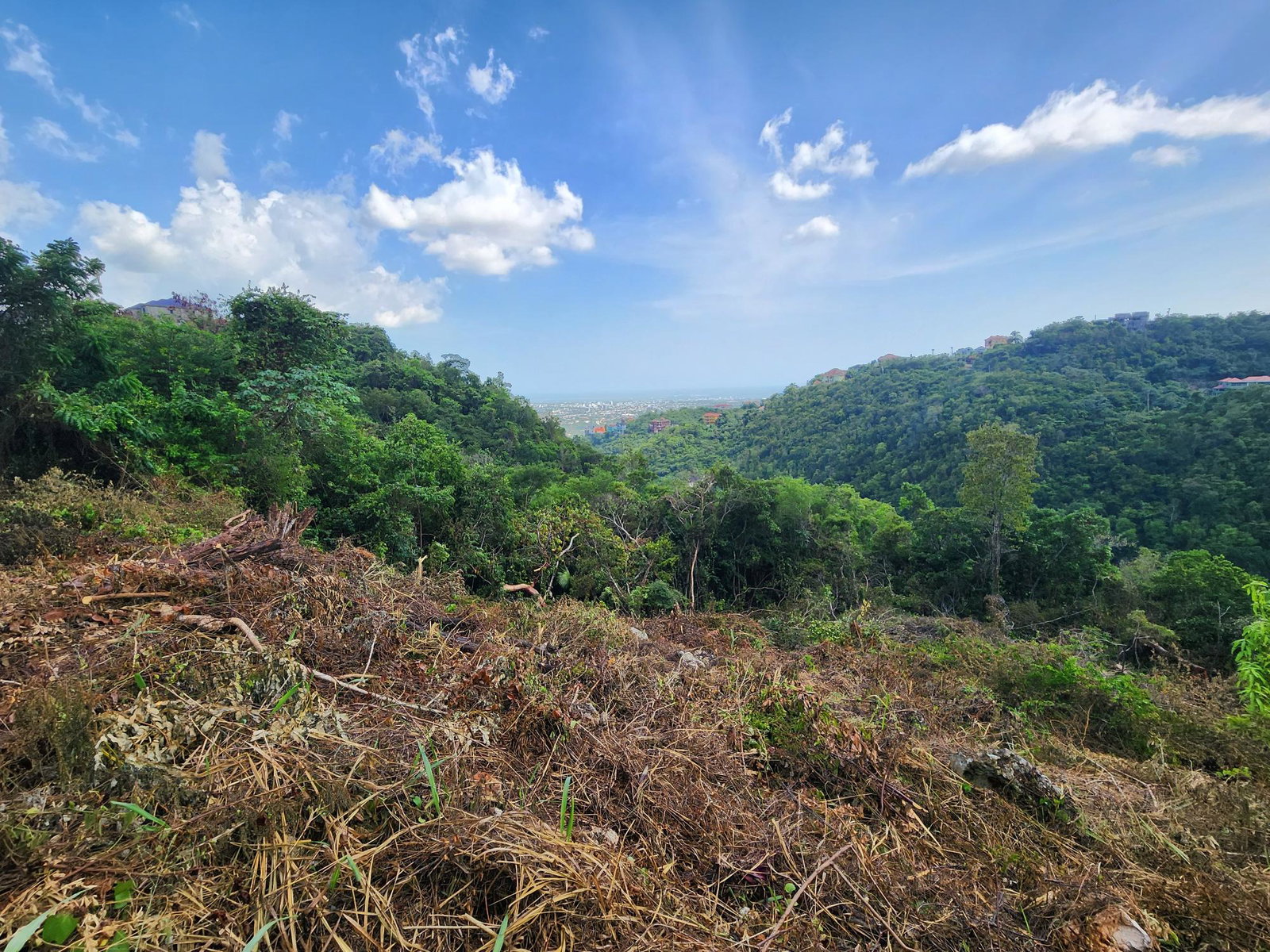 Second image of 409 Pegasus Place in Kingston 19, St. Andrew, Jamaica - property is For Sale