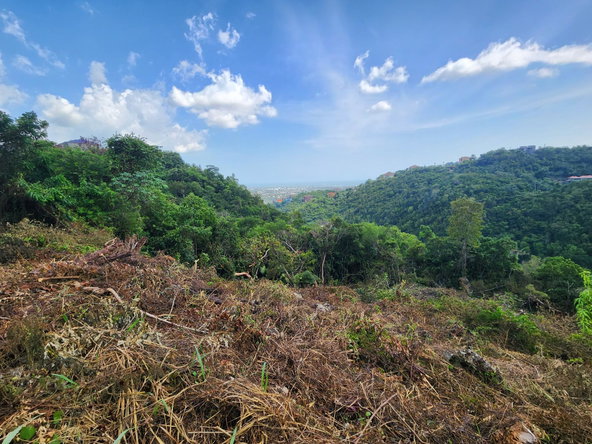 Second image of 409 Pegasus Place in Kingston 19, St. Andrew, Jamaica - property is For Sale