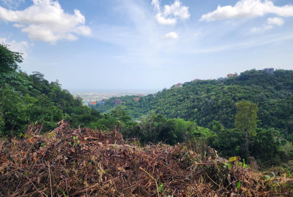 Eleventh image of 409 Pegasus Place in Kingston 19, St. Andrew, Jamaica - property is For Sale