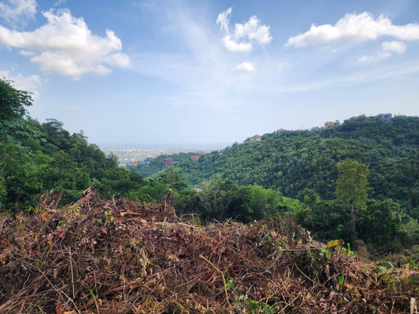 Eleventh image of 409 Pegasus Place in Kingston 19, St. Andrew, Jamaica - property is For Sale