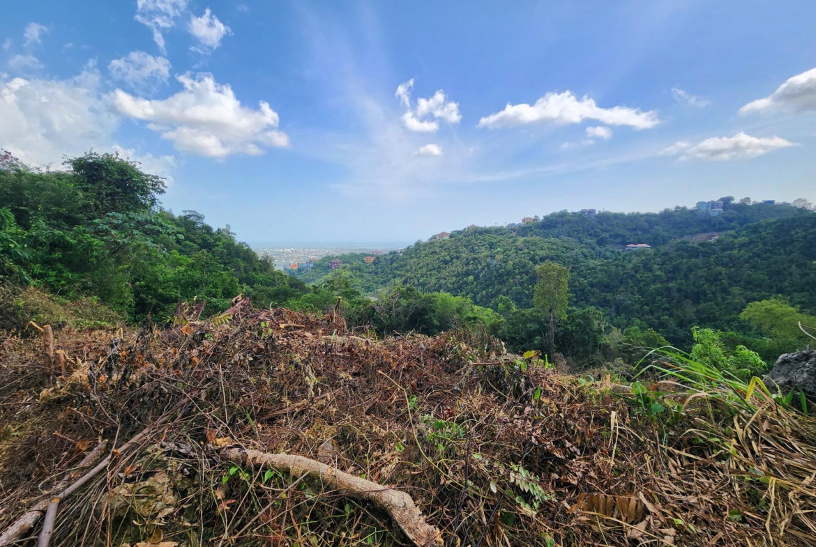 Sixteenth image of 409 Pegasus Place in Kingston 19, St. Andrew, Jamaica - property is For Sale